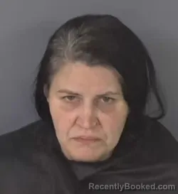 Mugshot of MEGAN WRIGHT