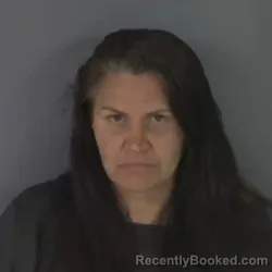 Mugshot of MEGAN SHEREE WRIGHT booked in Clay County, Florida on May 13, 2026