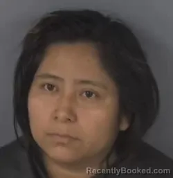 Mugshot of ROSIBEL SIMEONA CHAY MARTINEZ booked in Clay County, Florida on July 18, 2026