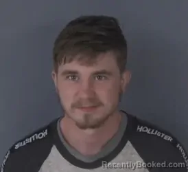 Mugshot of ROBERT MCGEE