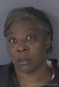 Booking photo from Clay County, Florida