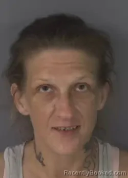 Booking photo from Clay County, Florida