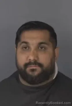 Mugshot of SAVA MIHALCA