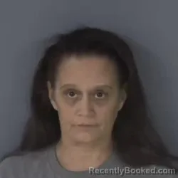 Mugshot of SHANNA MARIE VOLINSKI booked in Clay County, Florida on June 19, 2026