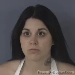 Mugshot of SKYLER WELLS