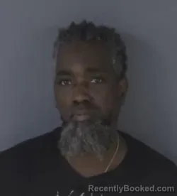 Mugshot of TORI BROWN