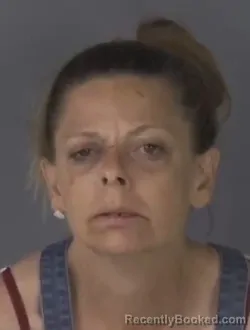 Mugshot of Teresa Lenaree Bland booked in Clay County, Florida on August 21, 2026