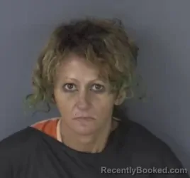 Mugshot of TERESA PATRICIA PALESTINO booked in Clay County, Florida on May 20, 2026