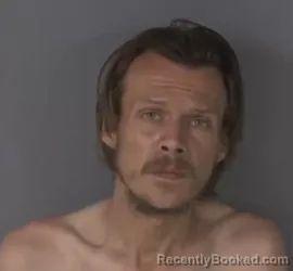 Mugshot of VINCENT RYAN