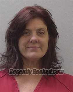 Booking photo from Lexington County, South Carolina