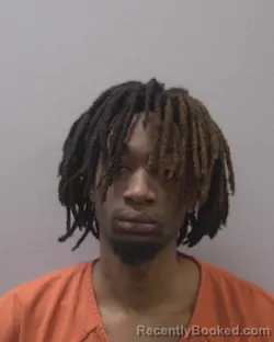 Booking photo from Lexington County, South Carolina