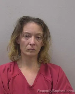 Booking photo from Lexington County, South Carolina