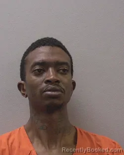 Booking photo from Lexington County, South Carolina
