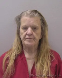 Mugshot of PAIGE ANN MCCROAN