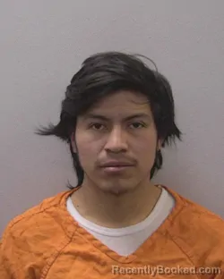 Mugshot of WILSON &nbsp; AJPOP MEJIA