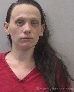 Mugshot of AMANDA NICOLE ETHEREDGE