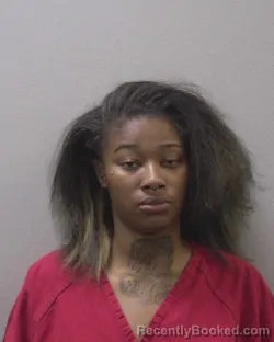 Mugshot of SHRONDA ANN SWINTON-JACKSON