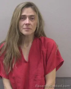 Mugshot of SHANNON &nbsp; MCGEE