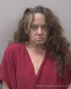 Mugshot of CANDICE MARONEY LEE