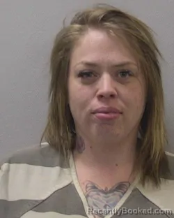 Mugshot of ASHLEY MARIE JOHNSON