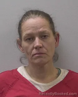 Mugshot of DENISE DEE LANE