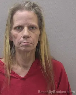 Booking photo from Lexington County, South Carolina