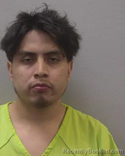 Mugshot of ELVI &nbsp; TAPERIA-CEBALLOS