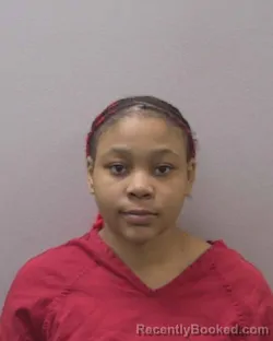 Booking photo from Lexington County, South Carolina