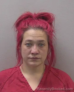 Mugshot of LYNN MARIE MCDONALD booked in Lexington County, South Carolina on March 26, 2026