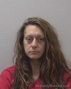 Mugshot of KAYLA NICOLE DILLOW booked in Lexington County, South Carolina on March 26, 2026