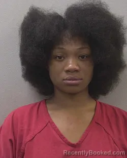 Mugshot of NAUTICA NATAHSA DEBORAH CLARK booked in Lexington County, South Carolina on March 27, 2026