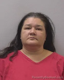 Mugshot of KELLY ANN STAGGS booked in Lexington County, South Carolina on March 27, 2026