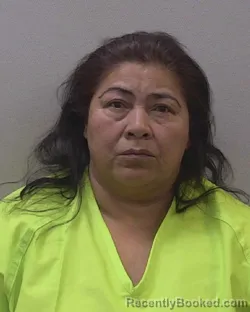 Mugshot of MARCELA &nbsp; ZAVALA booked in Lexington County, South Carolina on March 28, 2026