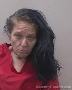 Mugshot of KAYLA CHEYENNE JENKINS booked in Lexington County, South Carolina on March 29, 2026