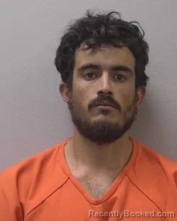 Mugshot of BRAULIO &nbsp; CABRERA ARREOLA booked in Lexington County, South Carolina on March 30, 2026