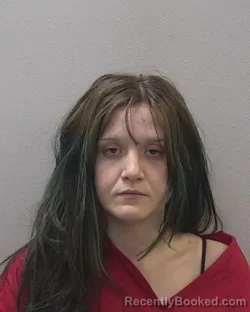 Mugshot of MILA BRIANNE ROSTOHAR booked in Lexington County, South Carolina on March 30, 2026