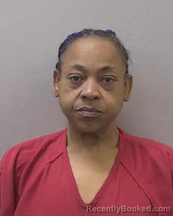 Mugshot of TONIA ANN JACKSON booked in Lexington County, South Carolina on March 30, 2026