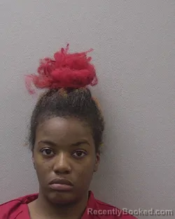 Mugshot of DA`NIYAH SHANESSE FULKS booked in Lexington County, South Carolina on April 2, 2026