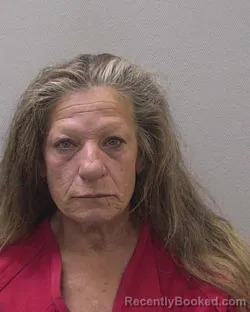 Mugshot of DINA CAROL SMITH booked in Lexington County, South Carolina on April 2, 2026