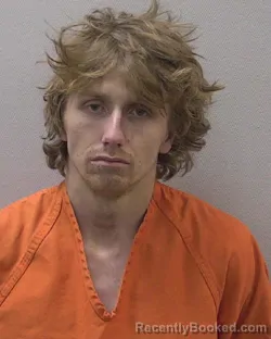 Mugshot of WINSTON CORLEY HARRISON booked in Lexington County, South Carolina on April 2, 2026