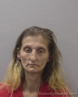 Mugshot of JESSICA LYNN PANTER booked in Lexington County, South Carolina on April 2, 2026