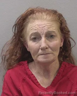 Mugshot of PAMELA MINCEY HOFFMAN booked in Lexington County, South Carolina on April 2, 2026