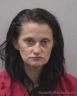 Mugshot of TIFFANY JEAN MCMILLIAN booked in Lexington County, South Carolina on April 3, 2026