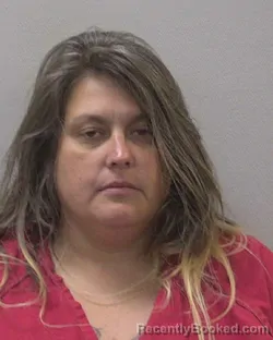 Mugshot of ASHLY HANNA ELLSWORTH booked in Lexington County, South Carolina on April 3, 2026