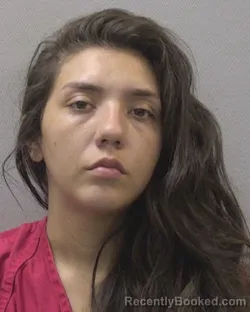 Mugshot of RACHEL NICOLE POLVON booked in Lexington County, South Carolina on April 3, 2026