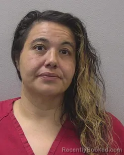 Mugshot of CECEILIA ANGELICA CABANILLAS booked in Lexington County, South Carolina on April 4, 2026