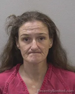 Mugshot of JAMIE RENEE SEIGLER booked in Lexington County, South Carolina on April 5, 2026