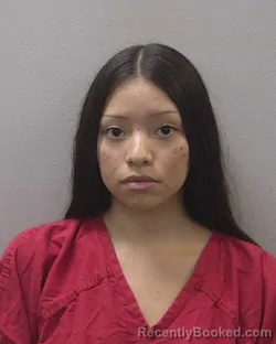 Mugshot of JACI &nbsp; SANCHEZ booked in Lexington County, South Carolina on April 6, 2026