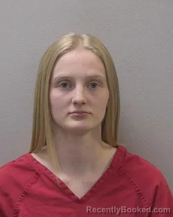 Mugshot of HALEY &nbsp; DAVIS booked in Lexington County, South Carolina on April 7, 2026