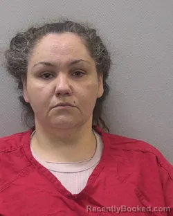 Mugshot of MISTY DAWN DELIN booked in Lexington County, South Carolina on April 9, 2026